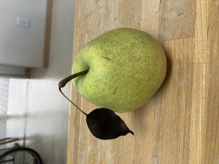 小規模多機能型なごみ