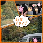 小規模多機能型なごみ