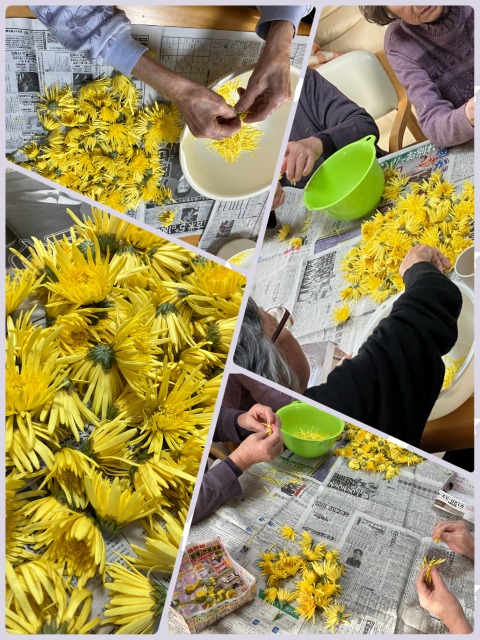 小規模多機能型なごみ